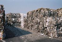 Paper Recycling Commercial Collection Services